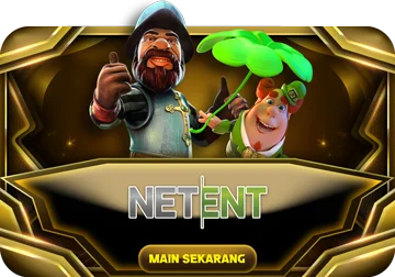 Net Ent
