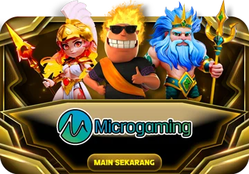 Micro Gaming