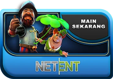 Net Ent